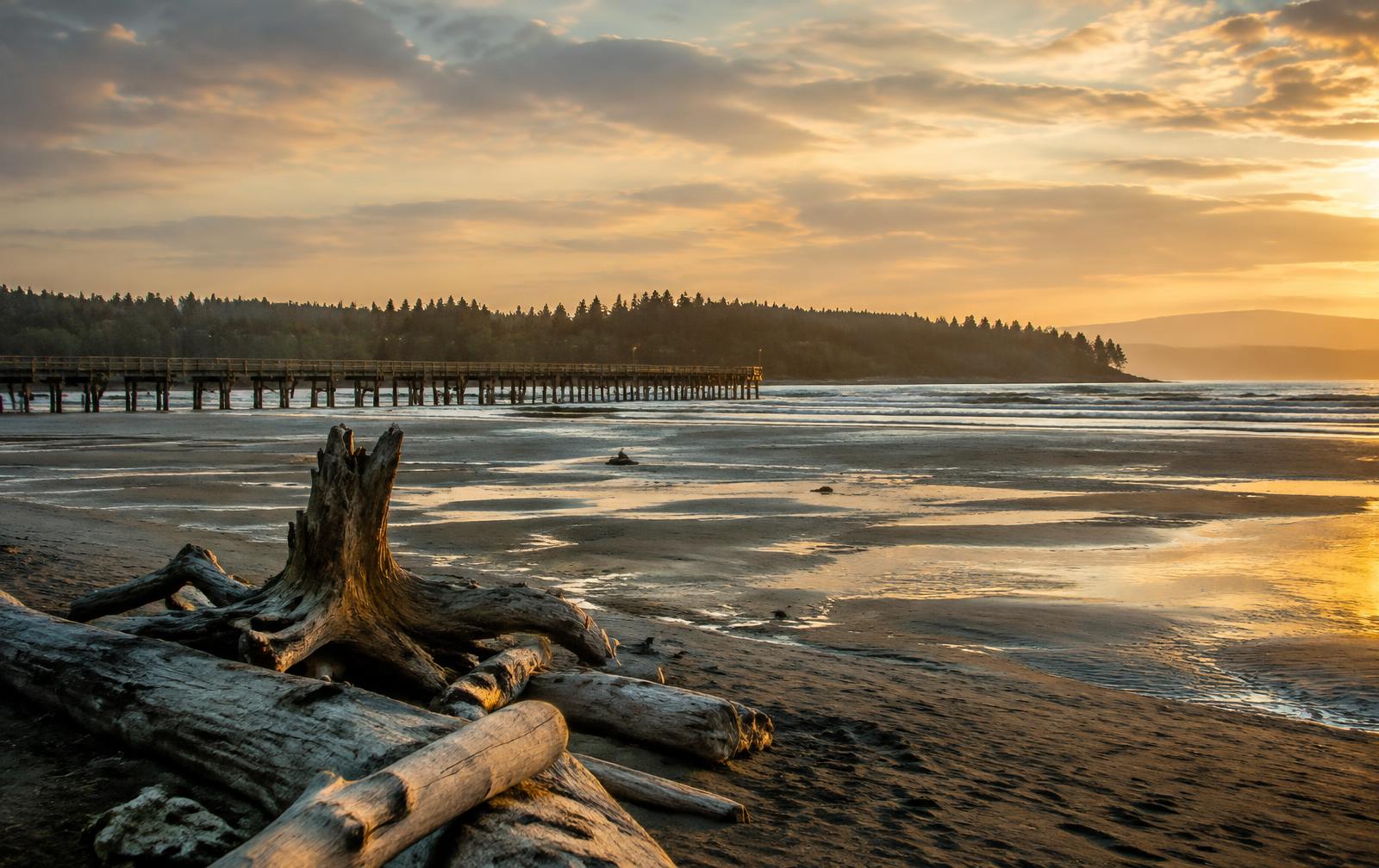 Tide flats and driftwood beside a long wooden pier at golden hour